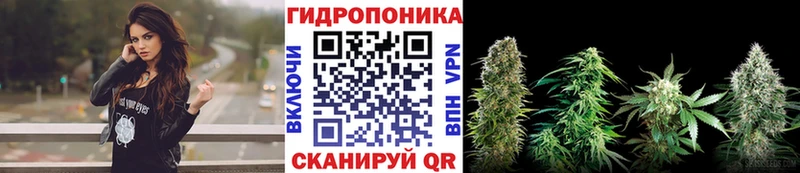 Купить  Североуральск  Бошки Шишки ГИДРОПОН 